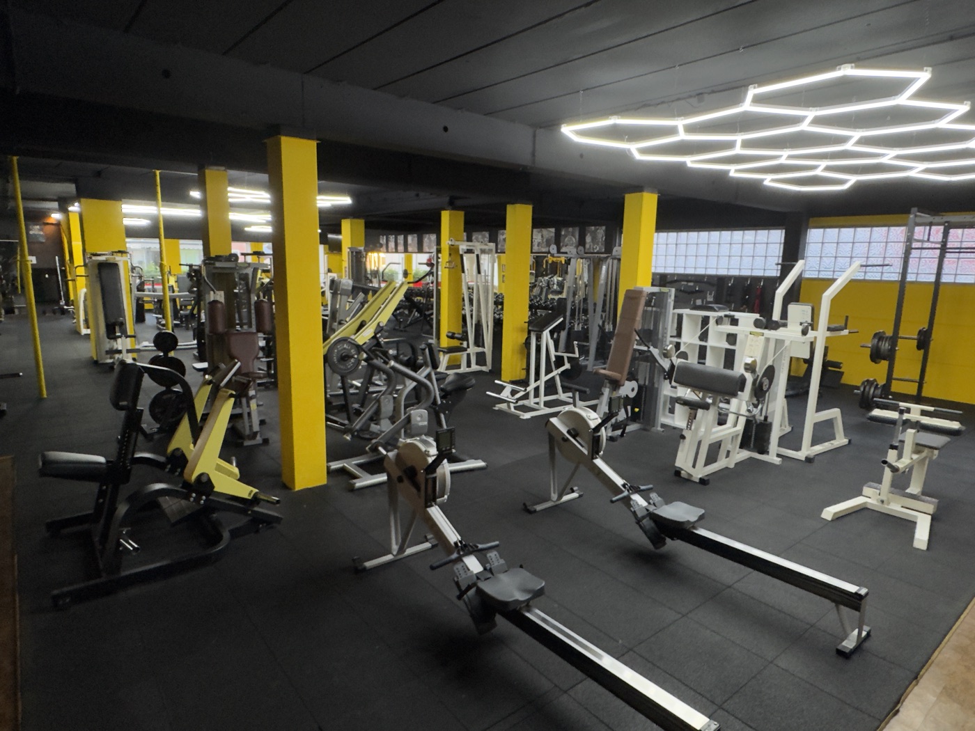 Cardio- und Ruderbereich