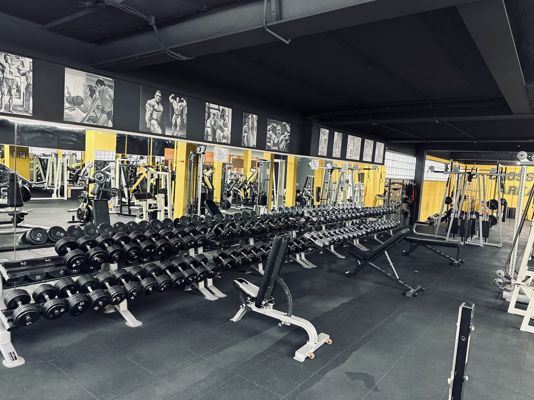 Lange Kurzhantel-Reihe im ALL STARS Gym